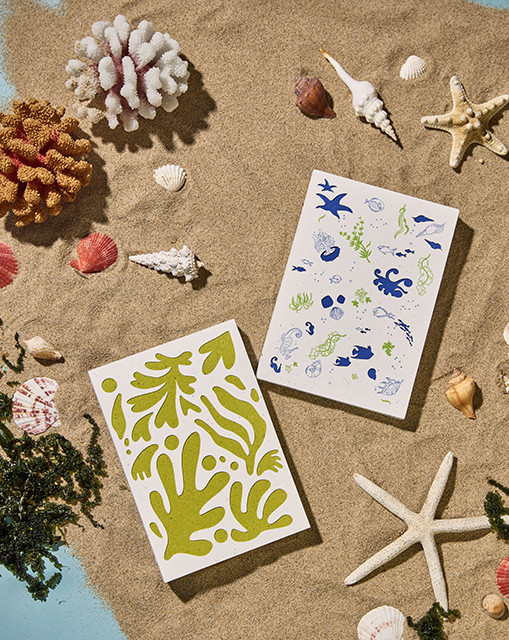 타라티피에스, 친환경 스테이셔너리 브...