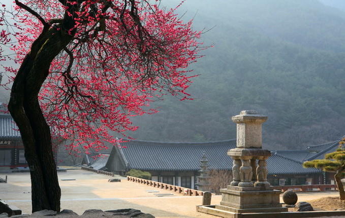 남도한바퀴, 3월부터 꽃내음 가득 봄 여행코스 운영