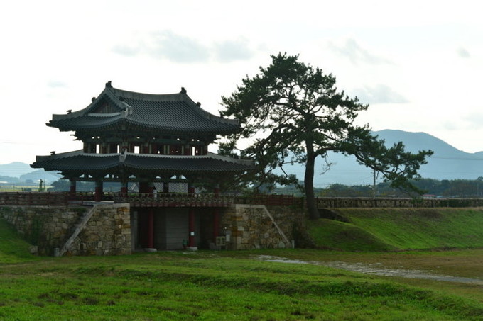 미식과 역사/500년 호국 요충지에서 꽃피운 ‘병영의 맛’… 강진 설성식당
